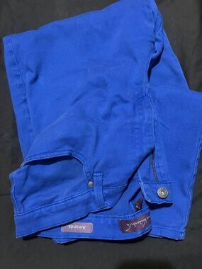 Gloria Vanderbilt Royal Blue Straight-Leg Women’s Jeans